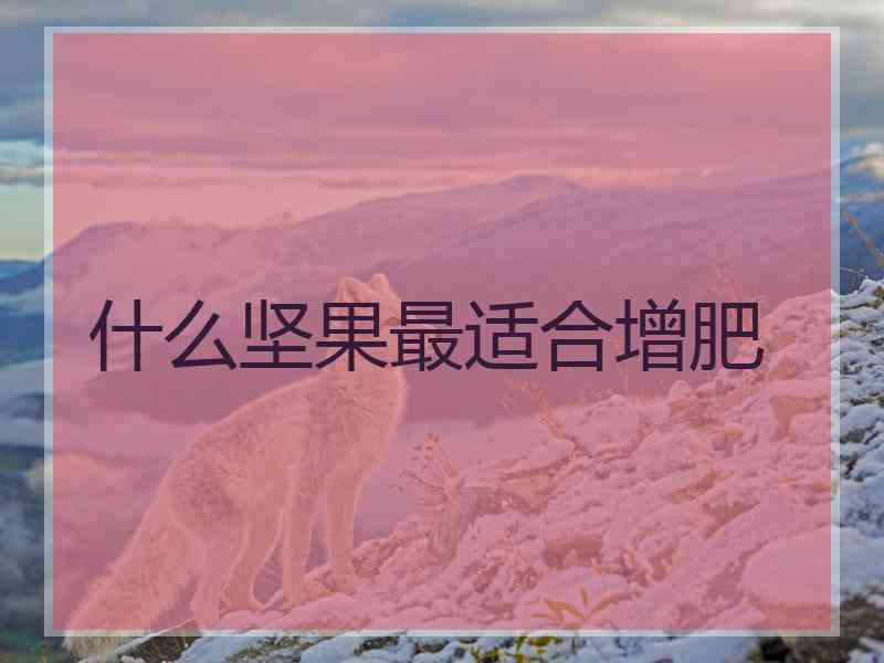 什么坚果最适合增肥