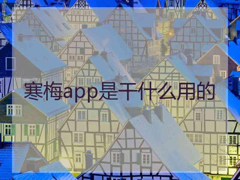 寒梅app是干什么用的