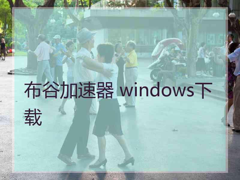 布谷加速器 windows下载