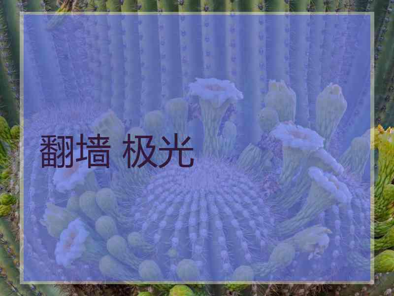 翻墙 极光