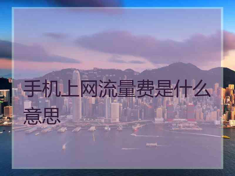 手机上网流量费是什么意思