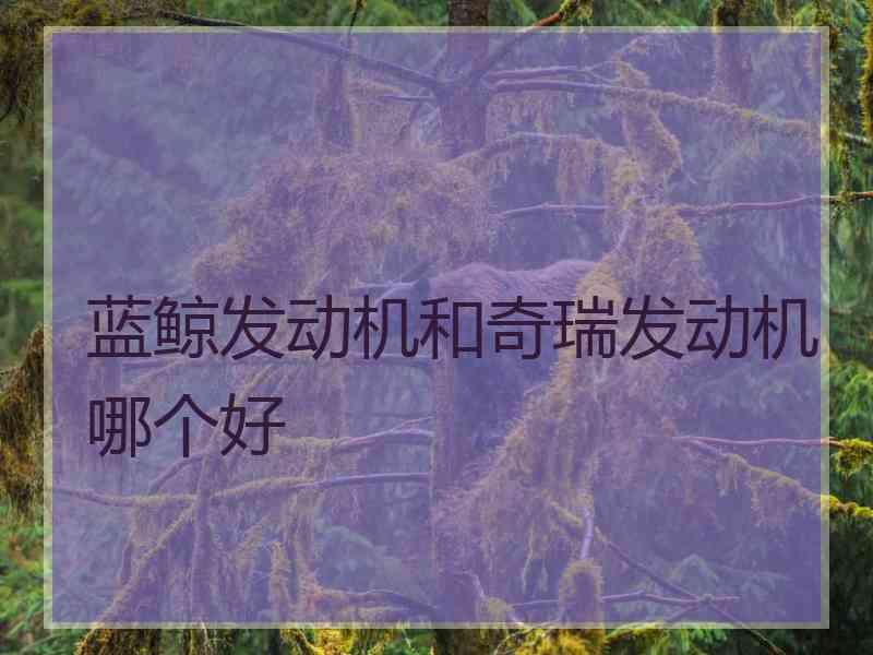 蓝鲸发动机和奇瑞发动机哪个好