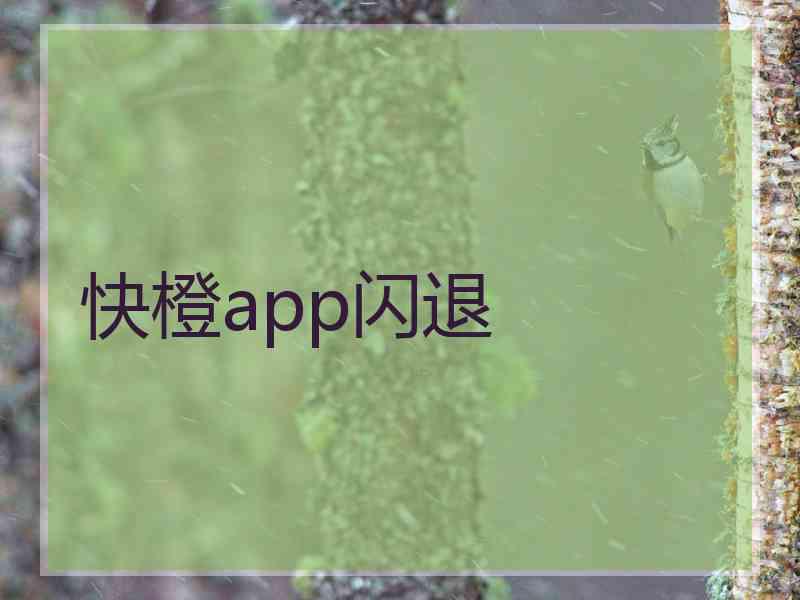 快橙app闪退