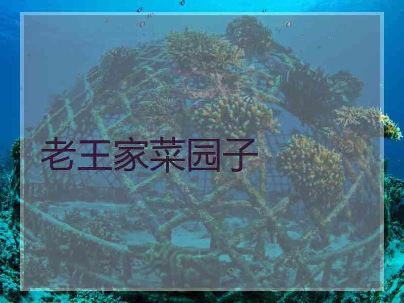老王家菜园子