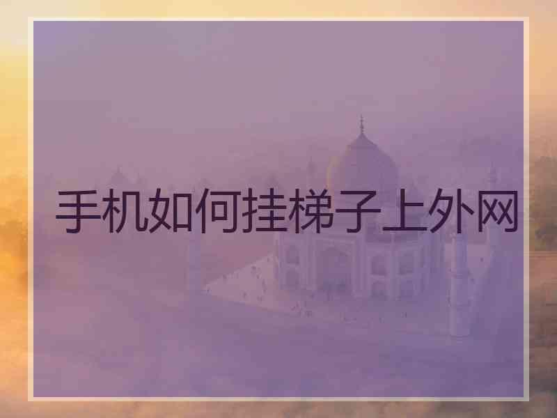 手机如何挂梯子上外网