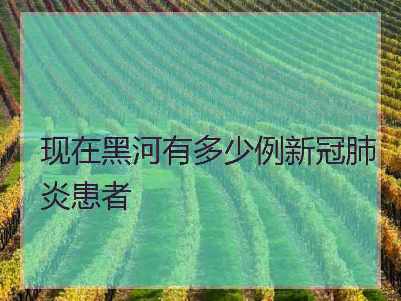 现在黑河有多少例新冠肺炎患者