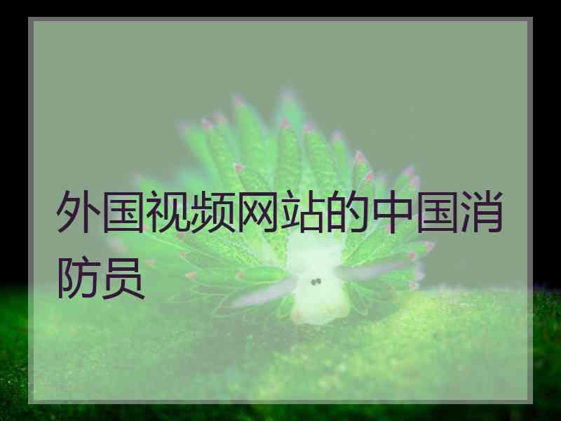 外国视频网站的中国消防员
