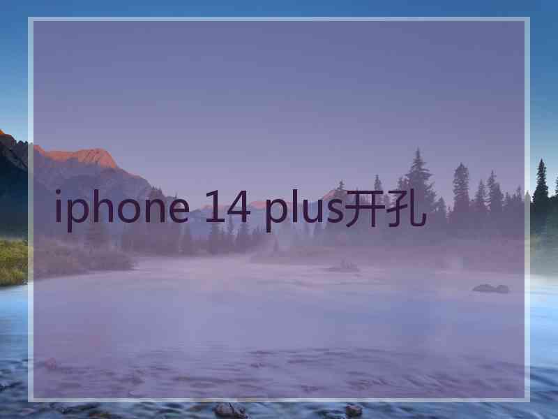 iphone 14 plus开孔