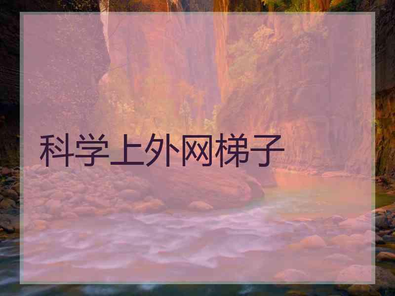科学上外网梯子