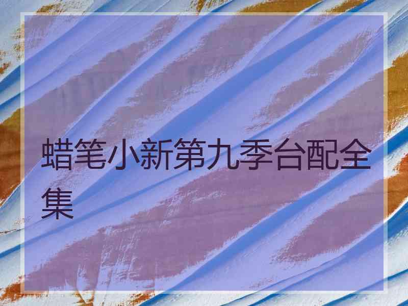 蜡笔小新第九季台配全集