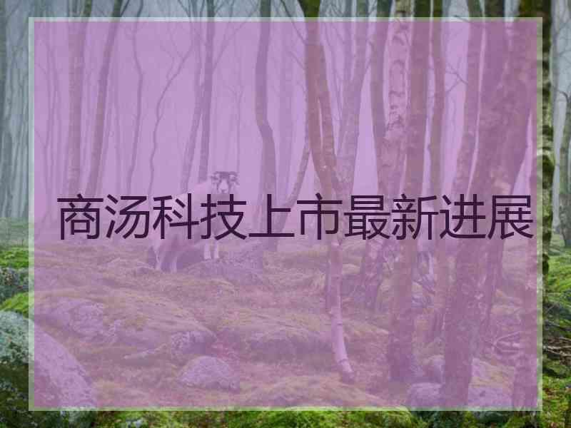 商汤科技上市最新进展