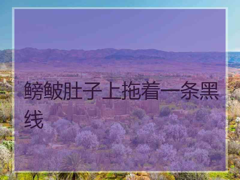鳑鲏肚子上拖着一条黑线