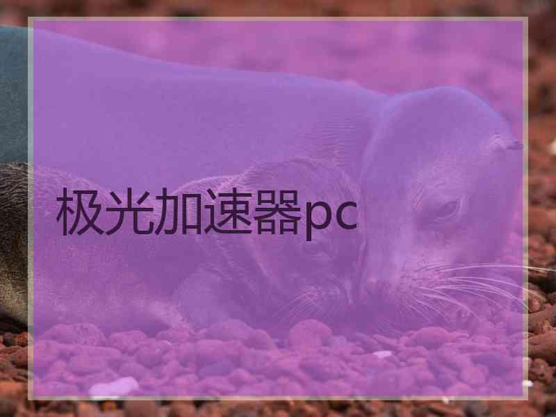 极光加速器pc