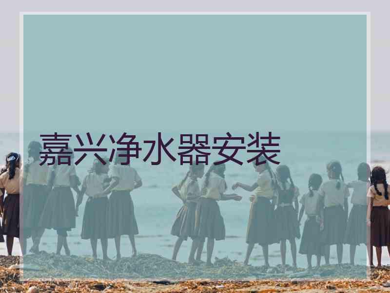 嘉兴净水器安装