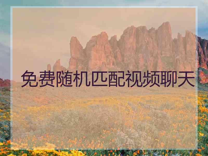 免费随机匹配视频聊天