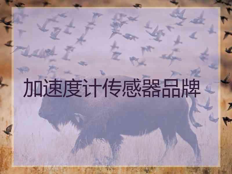 加速度计传感器品牌
