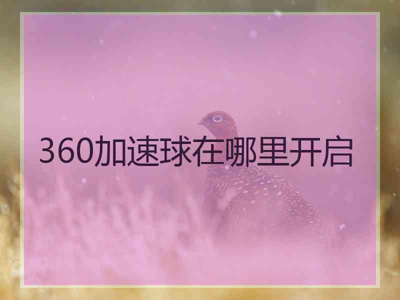 360加速球在哪里开启