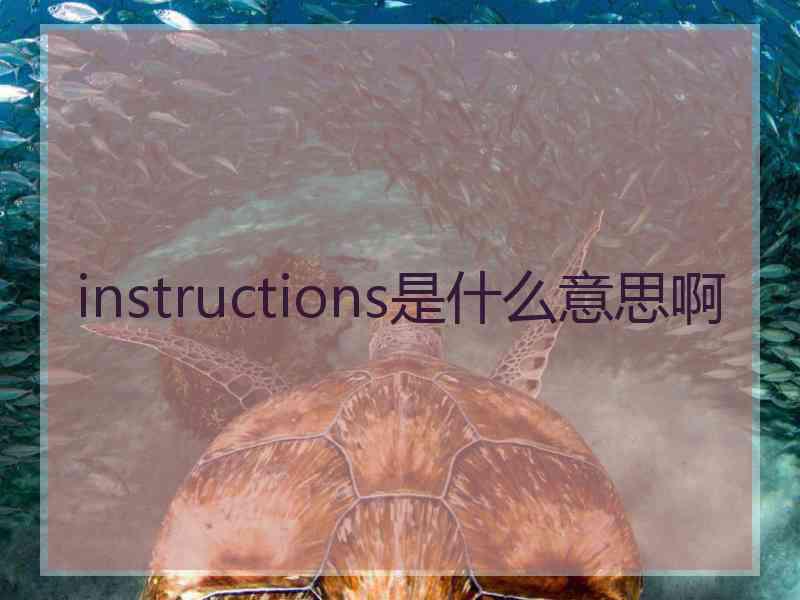 instructions是什么意思啊