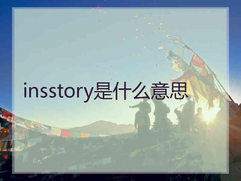 insstory是什么意思