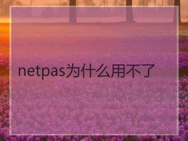 netpas为什么用不了