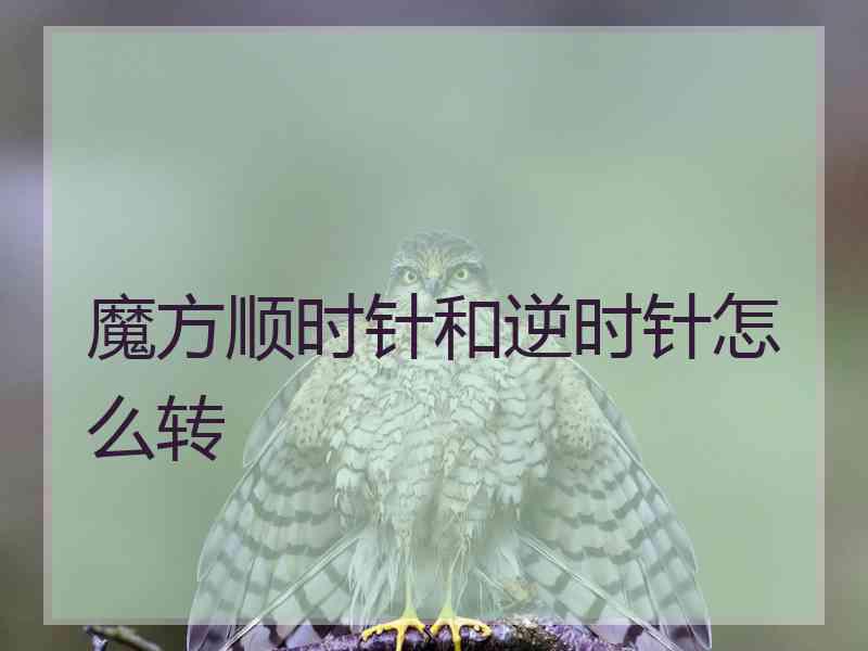 魔方顺时针和逆时针怎么转