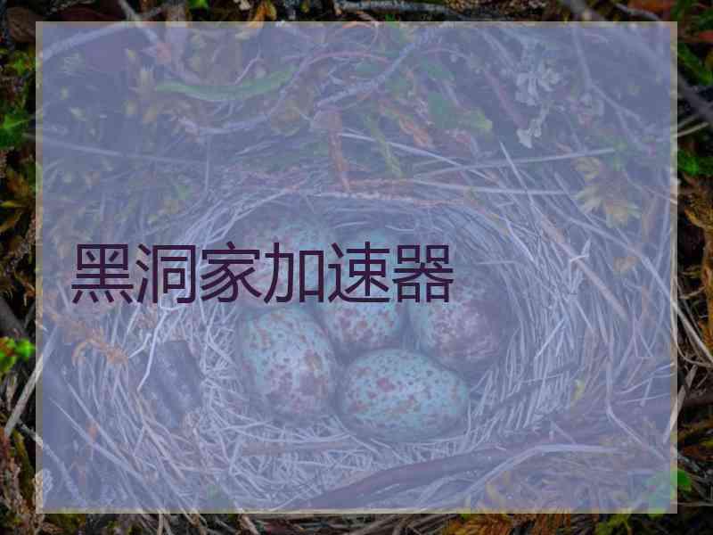 黑洞家加速器