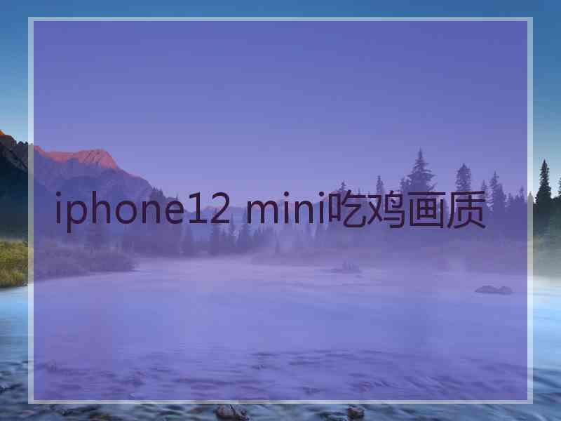 iphone12 mini吃鸡画质