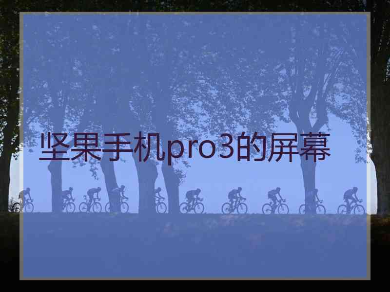 坚果手机pro3的屏幕