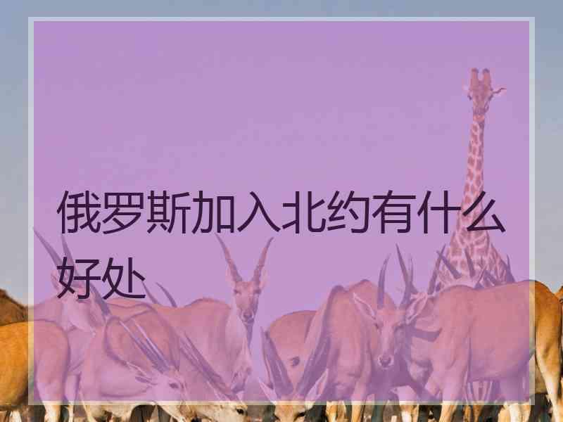 俄罗斯加入北约有什么好处