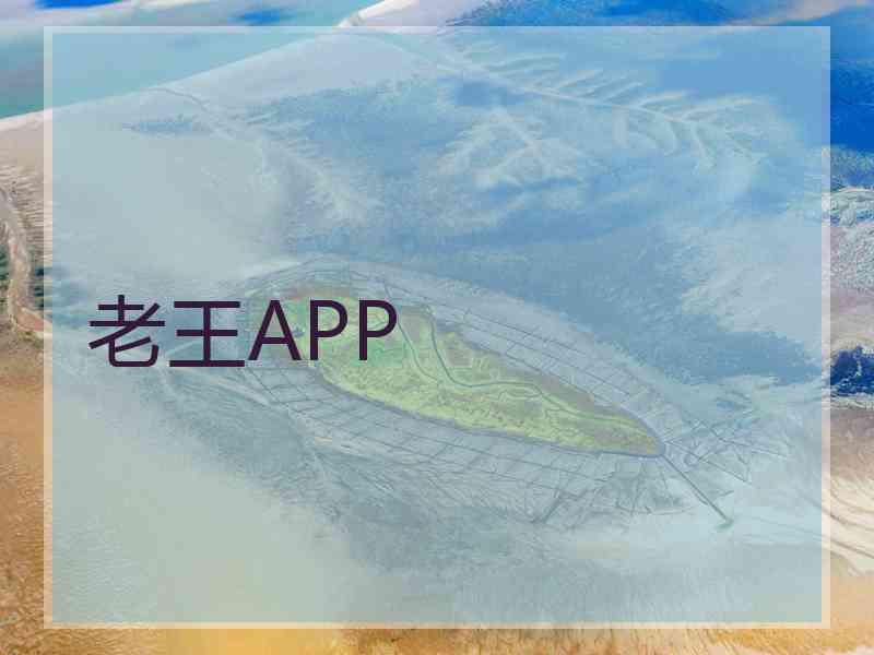 老王APP
