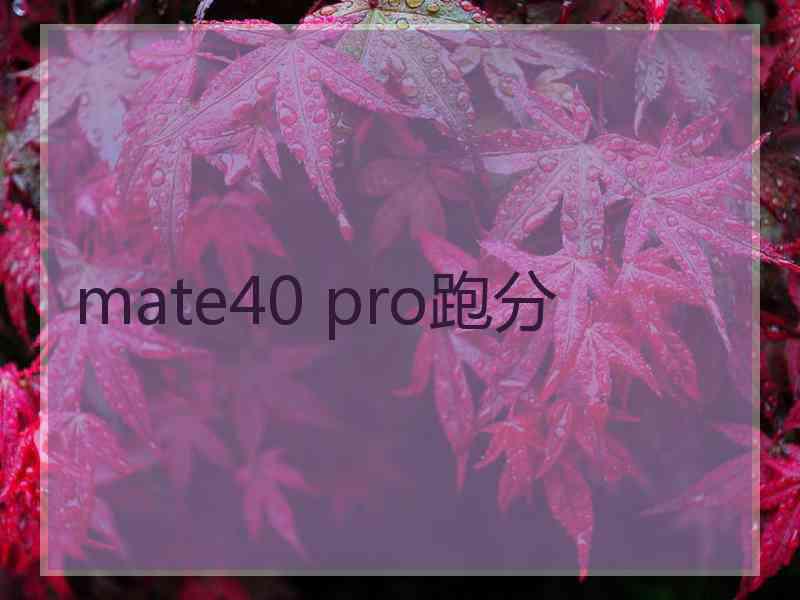 mate40 pro跑分