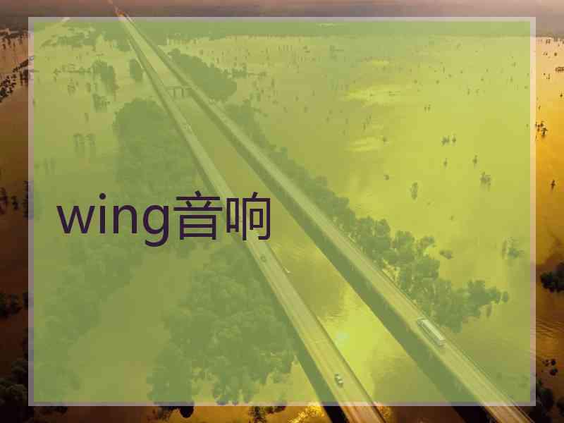 wing音响