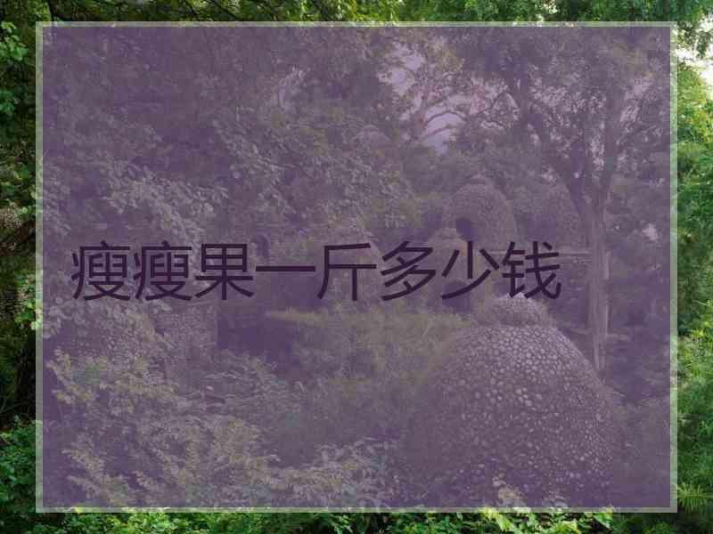 瘦瘦果一斤多少钱