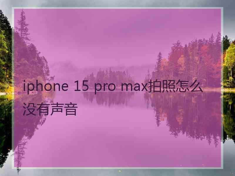 iphone 15 pro max拍照怎么没有声音