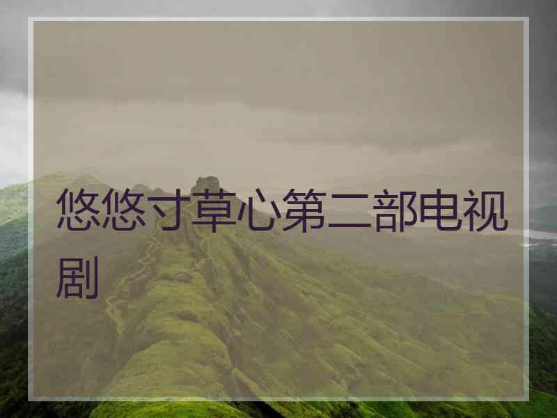 悠悠寸草心第二部电视剧