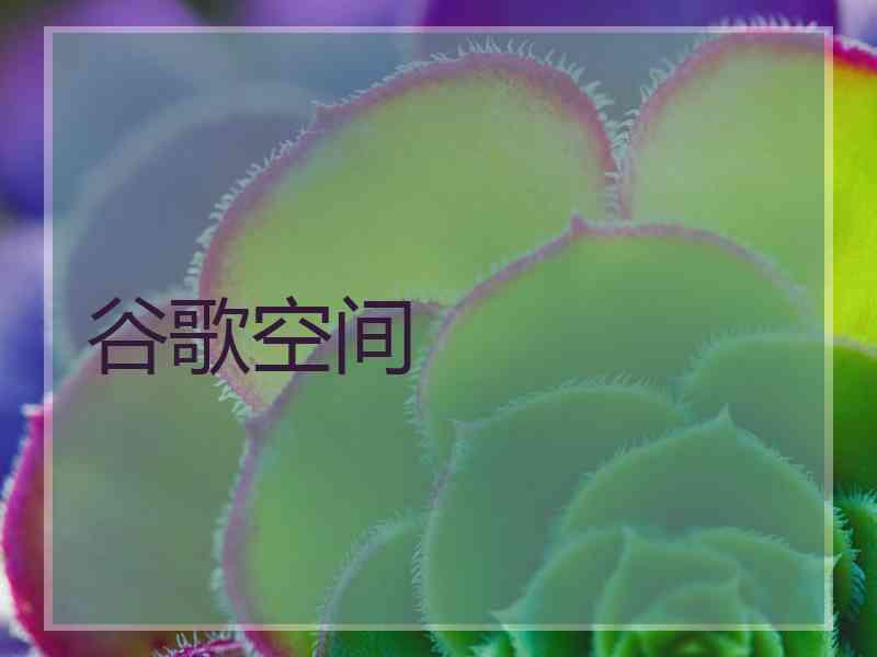 谷歌空间