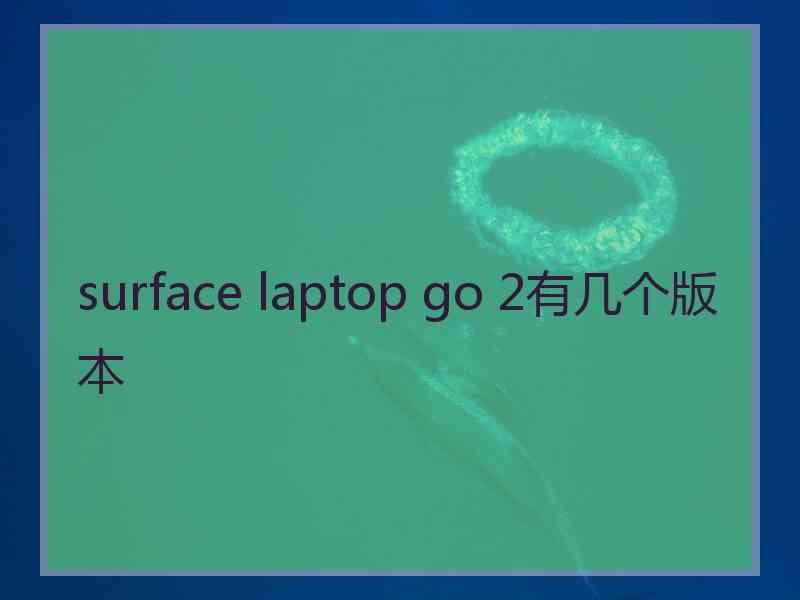 surface laptop go 2有几个版本