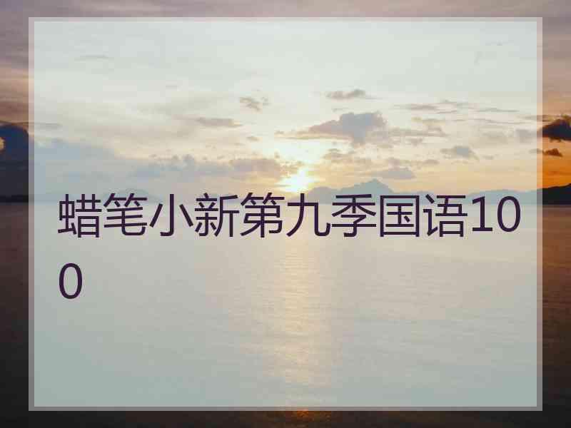 蜡笔小新第九季国语100