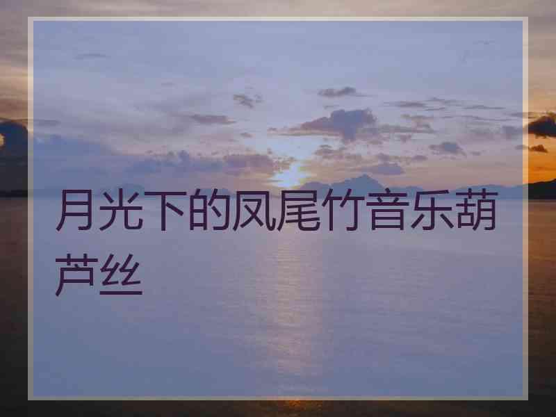 月光下的凤尾竹音乐葫芦丝