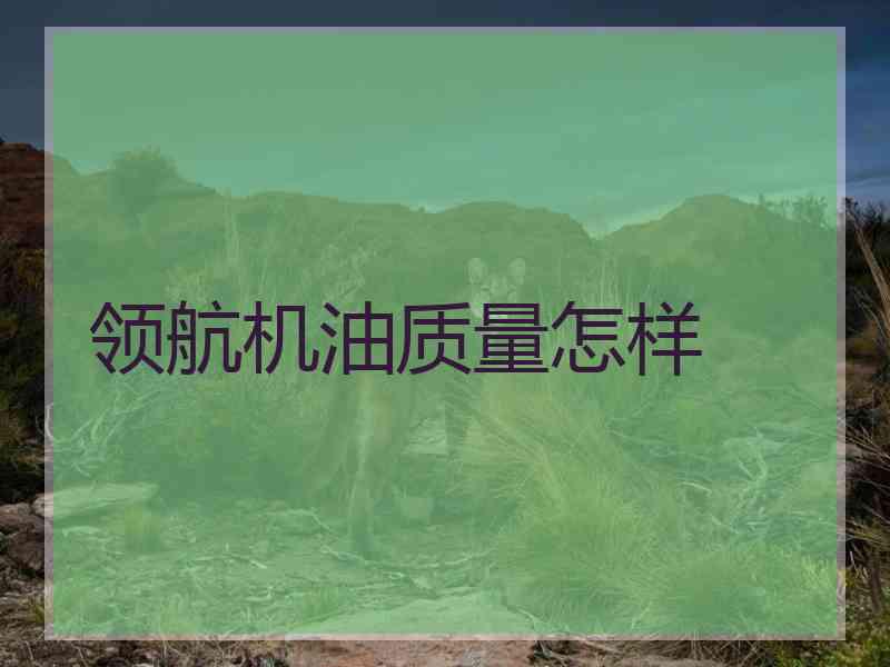领航机油质量怎样