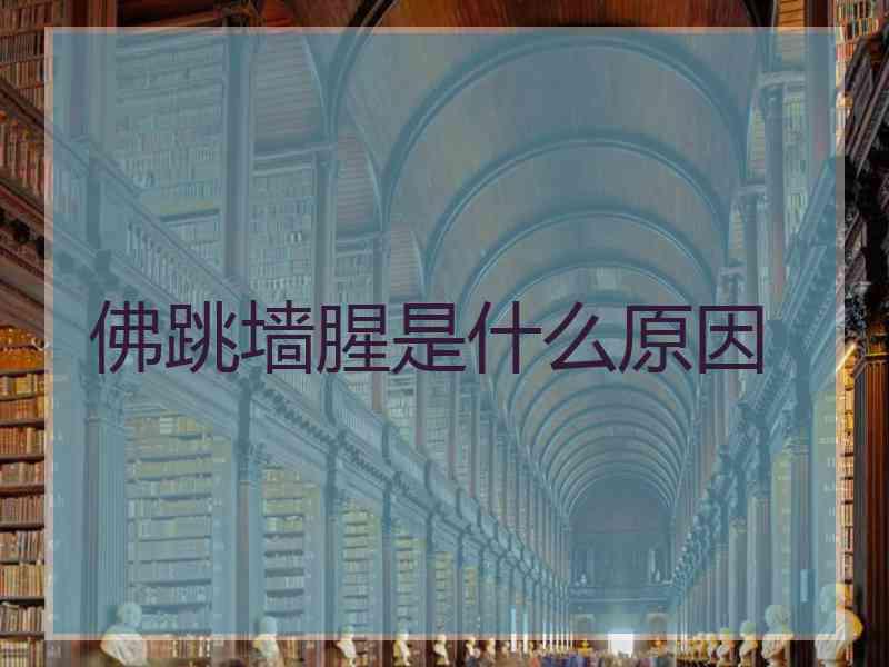 佛跳墙腥是什么原因