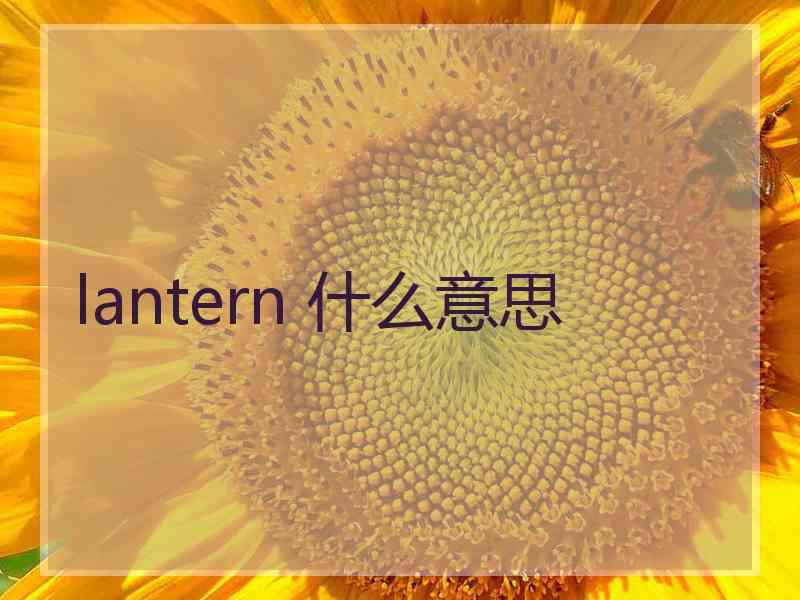 lantern 什么意思