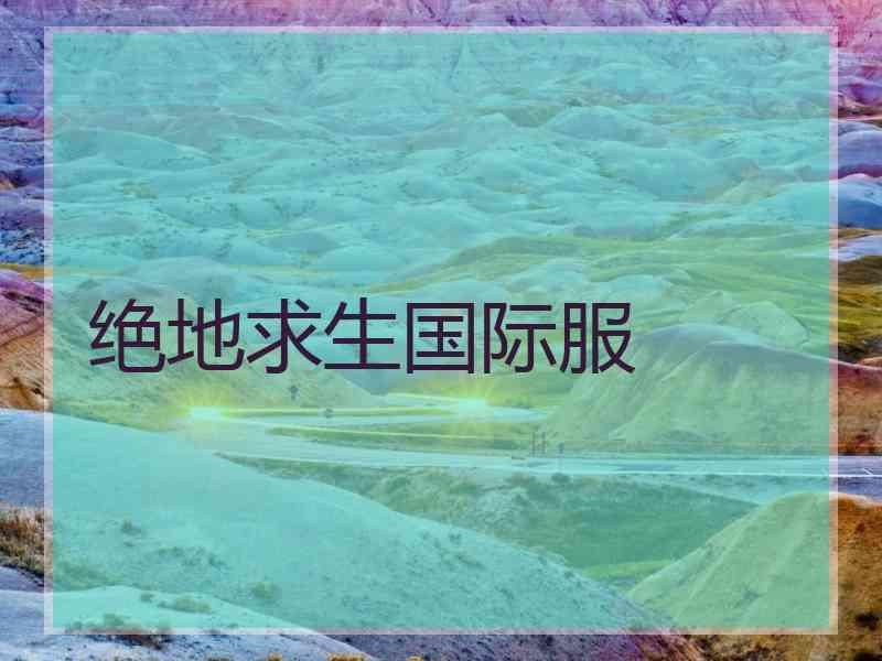 绝地求生国际服