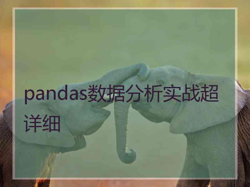 pandas数据分析实战超详细