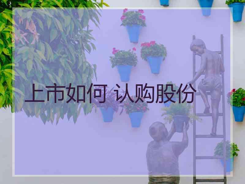 上市如何 认购股份