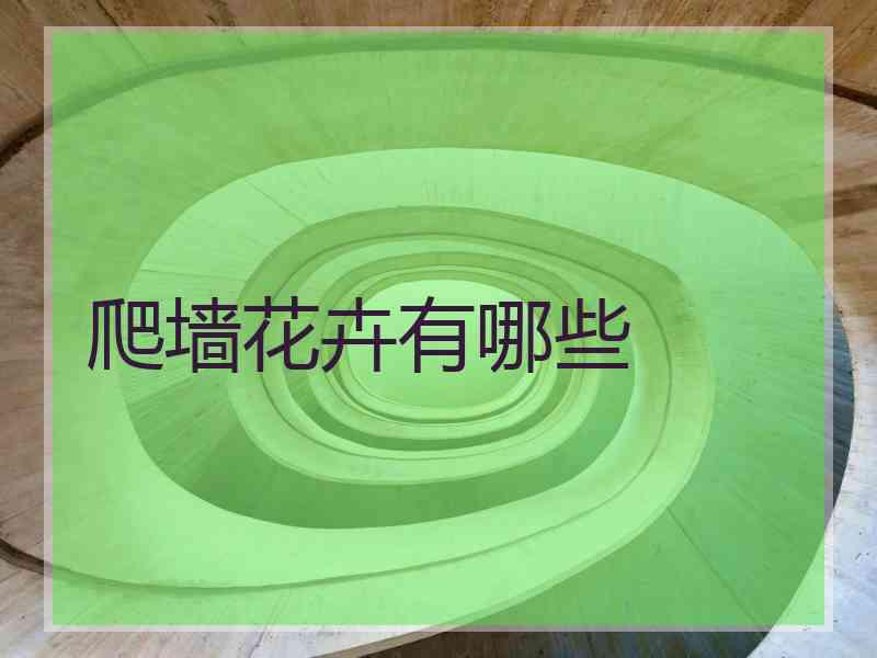 爬墙花卉有哪些