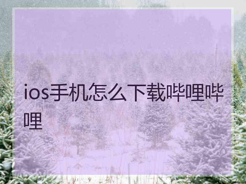 ios手机怎么下载哔哩哔哩