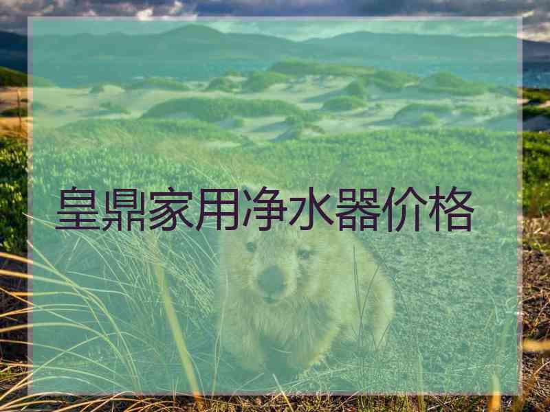 皇鼎家用净水器价格