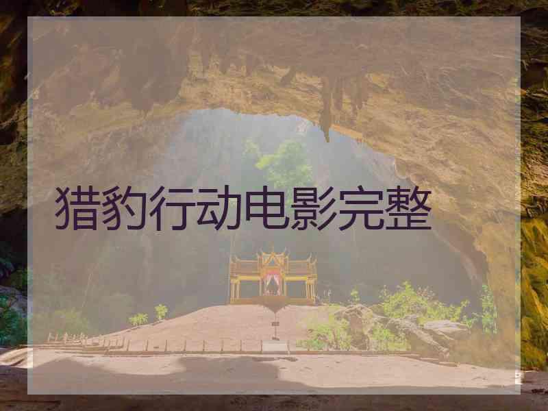 猎豹行动电影完整