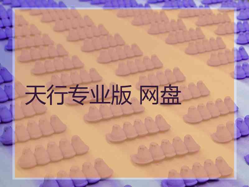 天行专业版 网盘